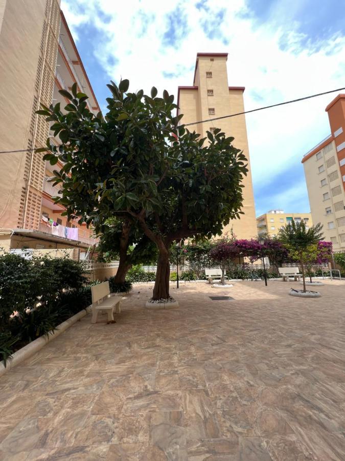 Ap Cande Playa De Gandia Bagian luar foto